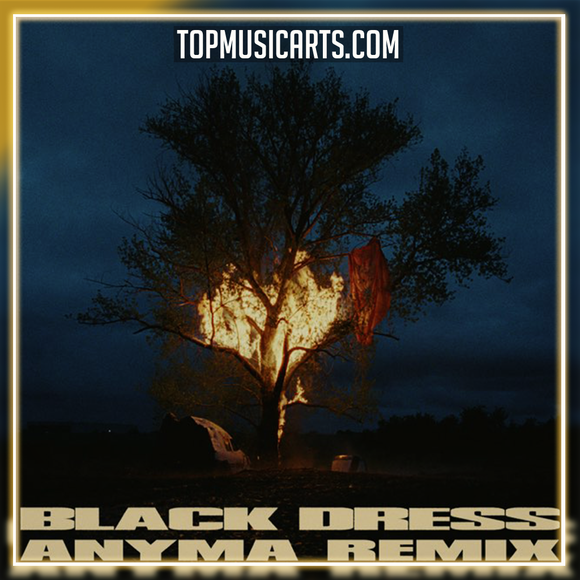 070 Shake - Black Dress (Anyma Remix) Ableton Remake (Melodic House)