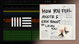 ANOTR, Erik Bandt, Leven Kali - How You Feel Ableton Remake (Deep House)