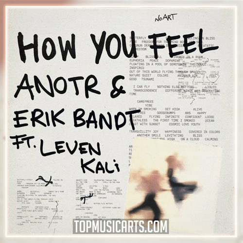 ANOTR, Erik Bandt, Leven Kali - How You Feel Ableton Remake (Nu-Disco)