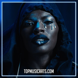 ARTBAT & Vintage Culture - She The Last One Ableton Remake (Melodic House)