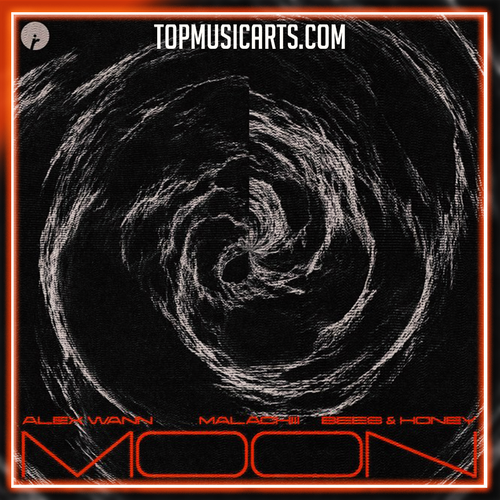 Alex Wann, Malachiii, bees & honey - Moon Ableton Remake (Afro House)