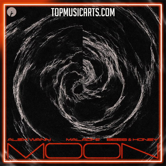 Alex Wann, Malachiii, bees & honey - Moon Ableton Remake (Afro House)