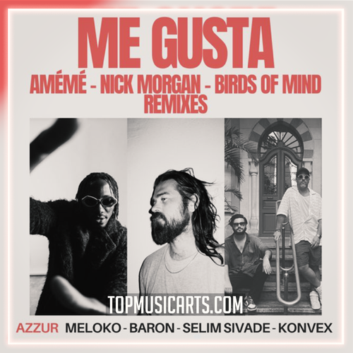 Azzur - Me Gusta (Bird of Mind Remix) Ableton Remake (Melodic House)