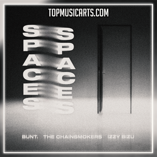 BUNT, The Chainsmokers & Izzy Bizu - Spaces (Ableton Remake)
