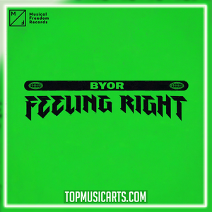 BYOR - Feeling Right Ableton Remake (Bass House)