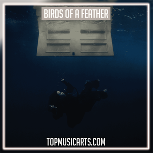 Billie Eilish - BIRDS OF A FEATHER Ableton Remake (Pop)