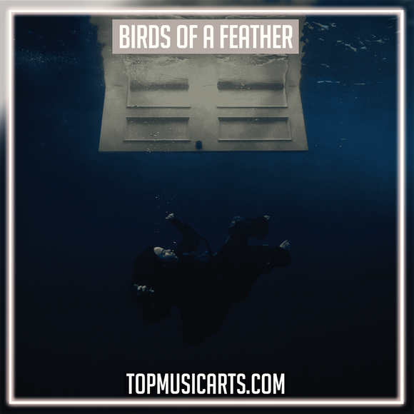 Billie Eilish - BIRDS OF A FEATHER Ableton Remake (Pop)