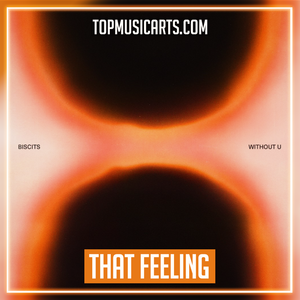 Biscits feat. Karen Harding - That Feeling Ableton Remake (Tech House)