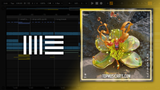 Chris Lake & Aluna - More Baby Ableton Remake (Tech House)