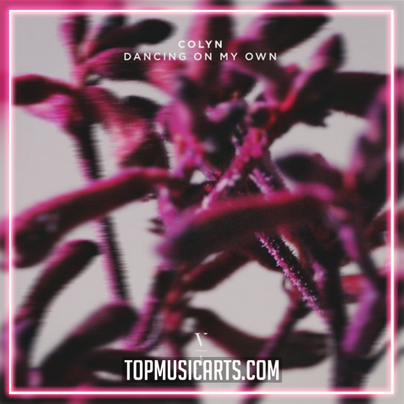 Colyn - Dancing On My Own Ableton Remake (Melodic House)