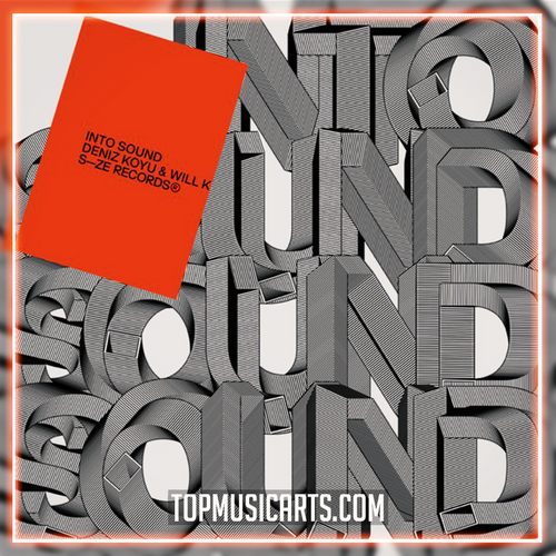 Deniz Koyu, WILL K - Into Sound Ableton Remake (Future House)