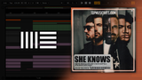 Dimitri Vegas & Like Mike, David Guetta, Afro Bros - She Knows [with Akon] Ableton Remake (Dance)