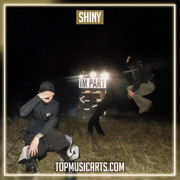 EASYKID - SHINY Ableton Remake (Electronic)