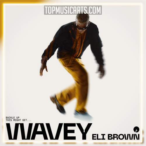 Eli Brown - Wavey Ableton Remake (Techno)