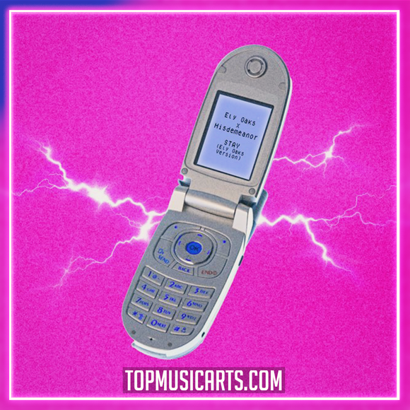 Ely Oaks, Misdemeanor - Stay (Ely Oaks Version) Ableton Remake (Dance)