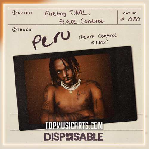 Fireboy DML - Peru (Peace Control Remix) Ableton Remake (Afro House)