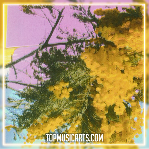 Four Tet - Into Dust (Still Falling) Ableton Remake (Electronic)