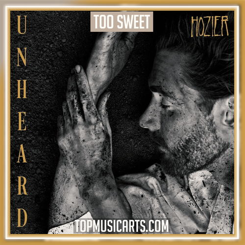 Hozier - Too Sweet Ableton Remake (Rock)