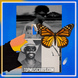 Jamie Jones - Butterflies Ableton Remake (House)