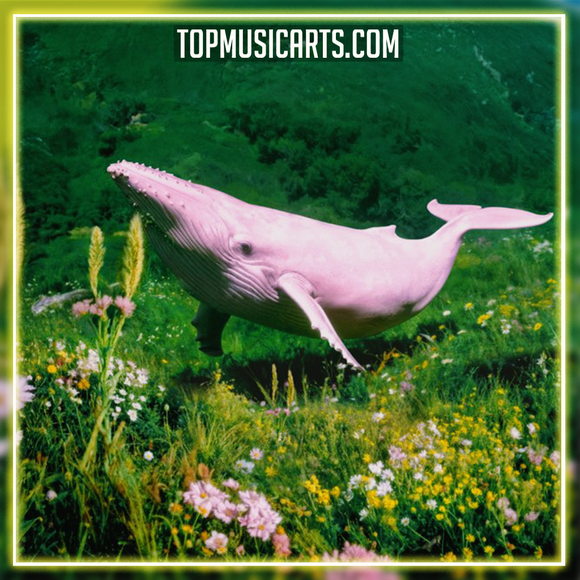 Jayda G - The Shiver Ableton Remake (Dance Pop)