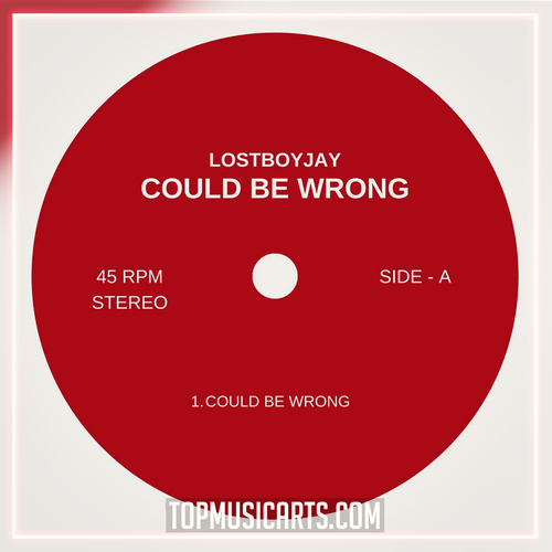 LOSTBOYJAY - Could be wrong Ableton Remake (House)