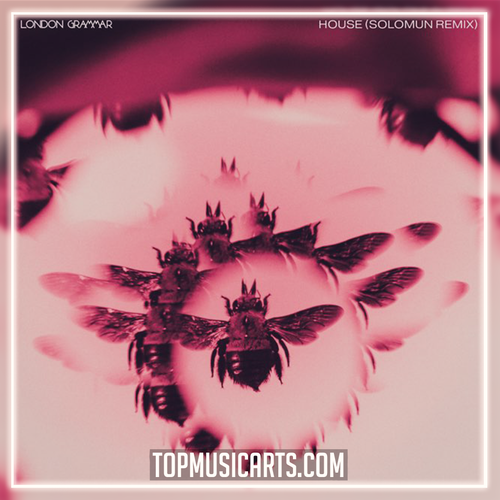 London Grammar - House (Solomun Remix) Ableton Remake (Melodic House)