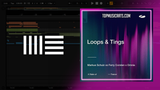 Markus Schulz & Ferry Corsten - Loops & Tings Ableton Remake (Trance)