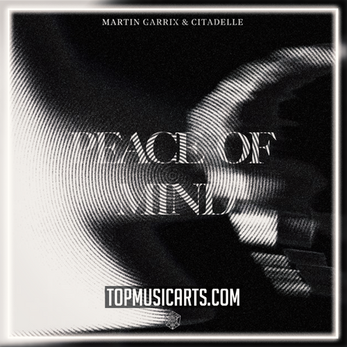 Martin Garrix & Citadelle - Peace Of Mind Ableton Remake (Progressive House)