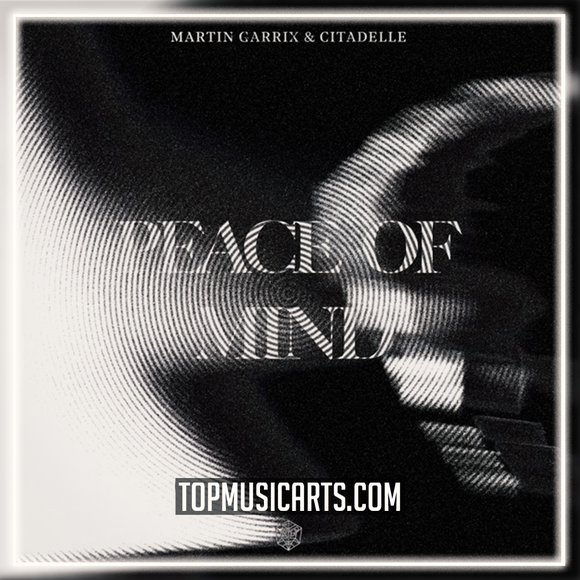 Martin Garrix & Citadelle - Peace Of Mind Ableton Remake (Dance Pop)