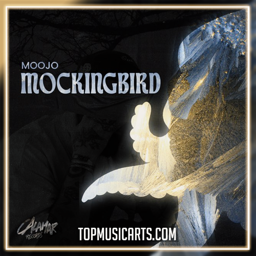 Moojo - Mockingbird Ableton Remake (Afro House)