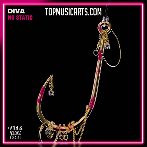 NO STATIC - Diva Ableton Remake (Tech House)