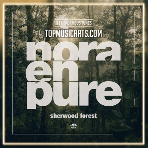Nora En Pure - Sherwood Forest (Club Mix) Ableton Remake (Deep House)