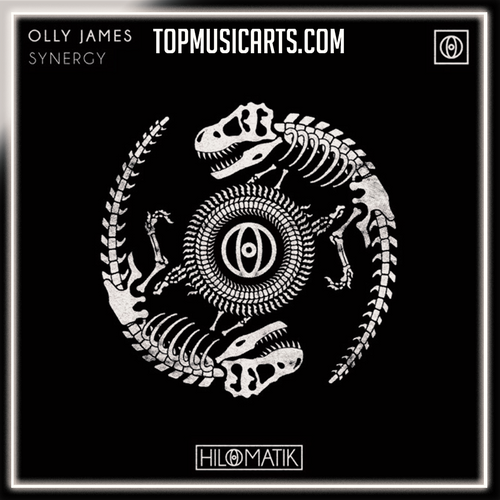 Olly James - Synergy Ableton Remake (Techno)