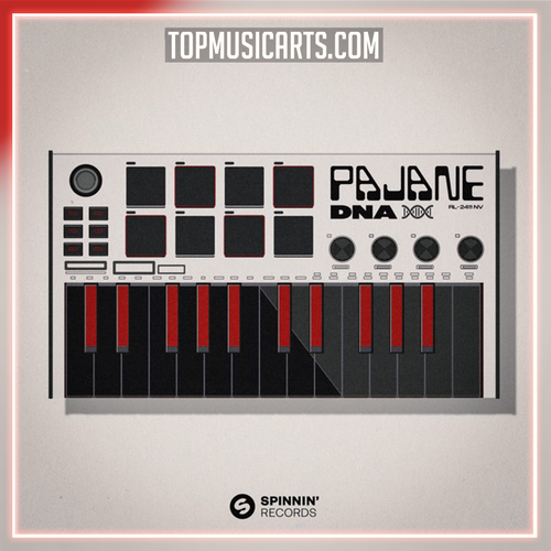 PAJANE - DNA Ableton Remake (Bass House)