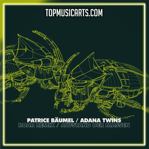 Patrice Baumel - Roar (Adana Twins Remix) Ableton Remake (Melodic House)