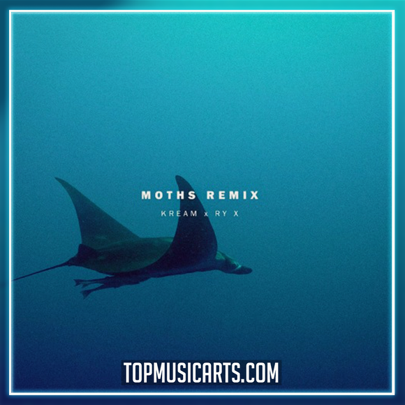 RY X - Moths (KREAM Remix) Ableton Remake (Melodic Techno)
