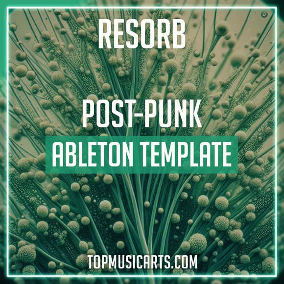 Resorb - Post-punk Ableton Template (Artemas, Djo Style)