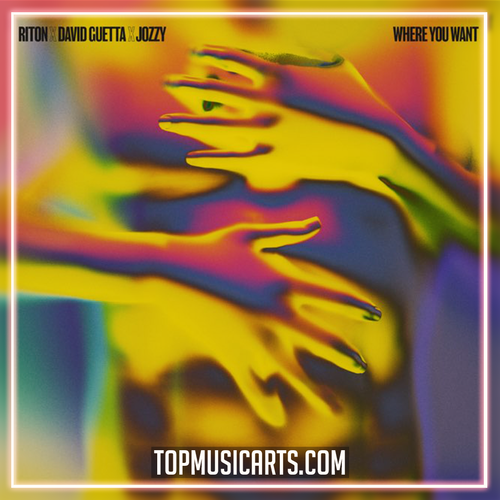 Riton, David Guetta, Jozzy - Where You Want (Ableton Remake)