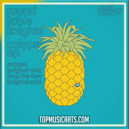 Round Table Knights - Calypso Ableton Remake (Tech House)