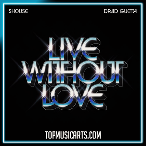 SHOUSE, David Guetta - Live Without Love Ableton Remake (Dance)