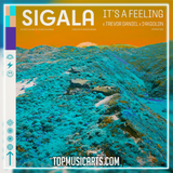 Sigala, Trevor Daniel, 24kGoldn - It's A Feeling Ableton Remake (Dance Pop)