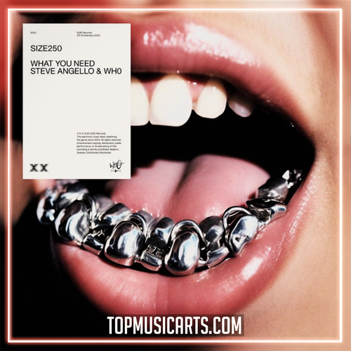 Steve Angello, WhO - What You Need Ableton Remake (House)