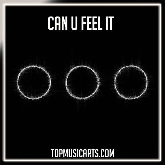 Swedish House Mafia - Can U Feel It Ableton Remake (House)