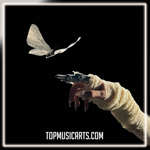 The Temper Trap - Sweet Disposition (ARTBAT Remix) Ableton Remake (Melodic House)