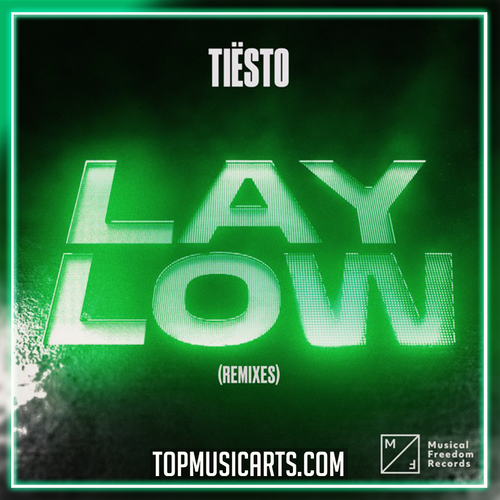 Tiësto - Lay Low (SLVR Remix) Ableton Remake (Techno)