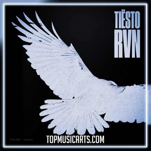 Tiësto - RVN (Raven) Ableton Remake (Mainstage)