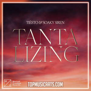 Tiësto & Soaky Siren - Tantalizing Ableton Remake (Afro House)