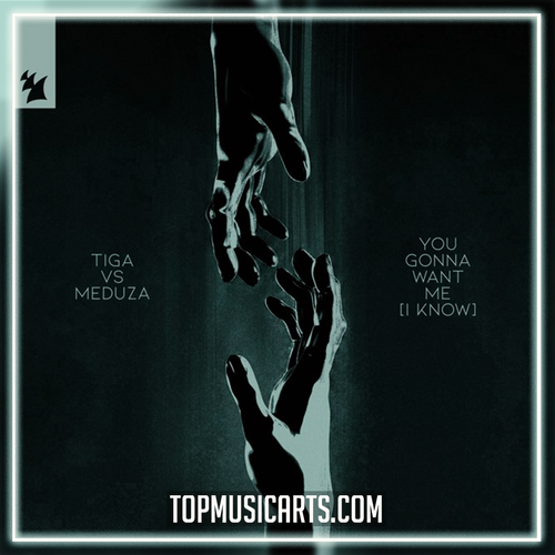Tiga vs. MEDUZA - You Gonna Want Me (I Know) (Ableton Remake)