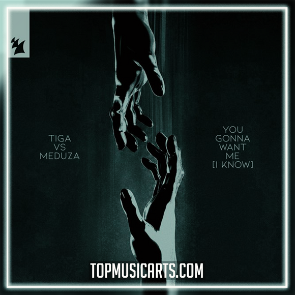 Tiga vs. MEDUZA - You Gonna Want Me (I Know) Ableton Remake (Melodic House)