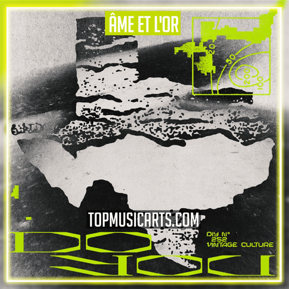 Vintage Culture - Âme Et L'Or (feat. Malou) Ableton Remake (Bass House)
